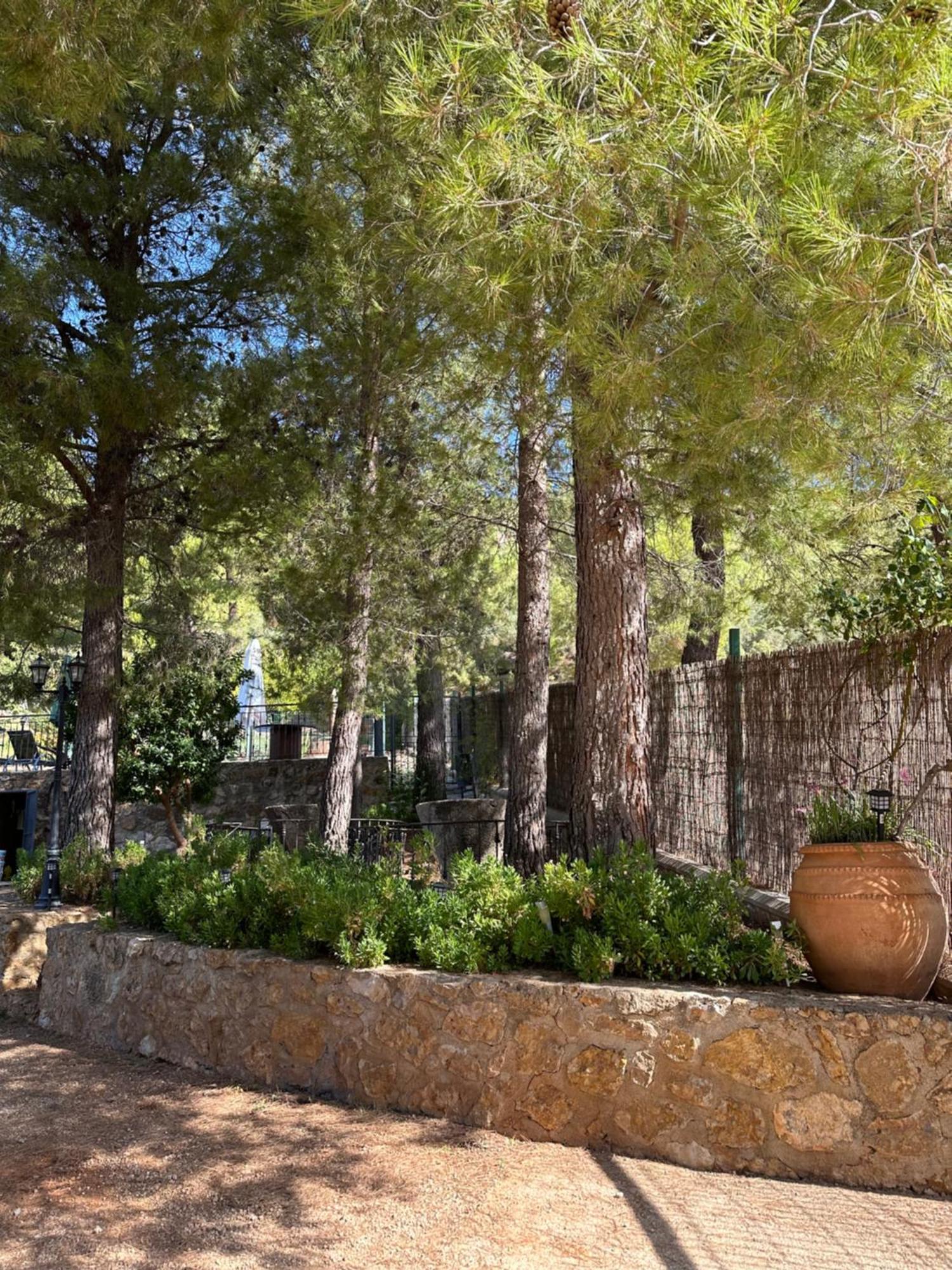 Casas Rurales Cerro Lobo Yeste Exterior photo