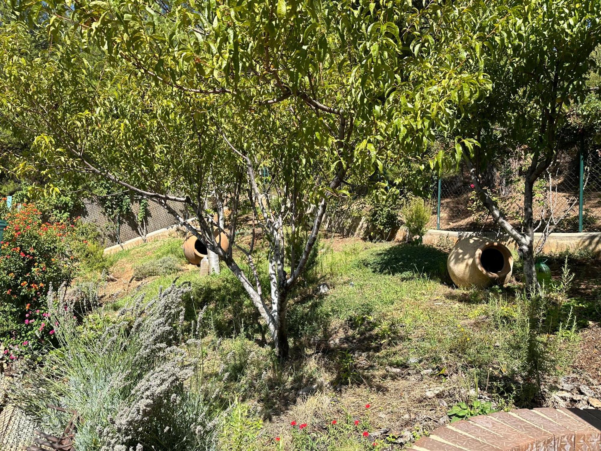 Casas Rurales Cerro Lobo Yeste Exterior photo