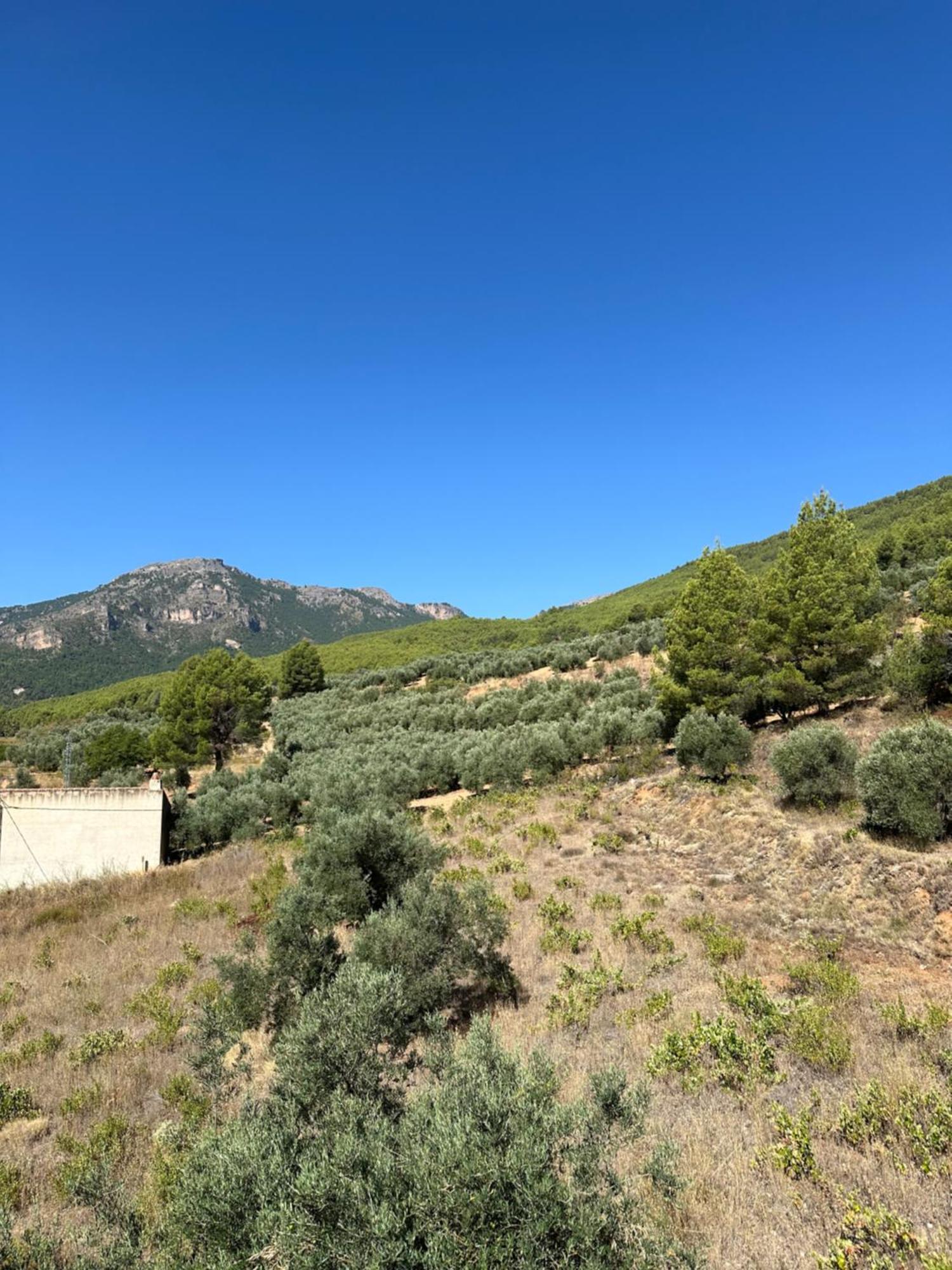 Casas Rurales Cerro Lobo Yeste Exterior photo